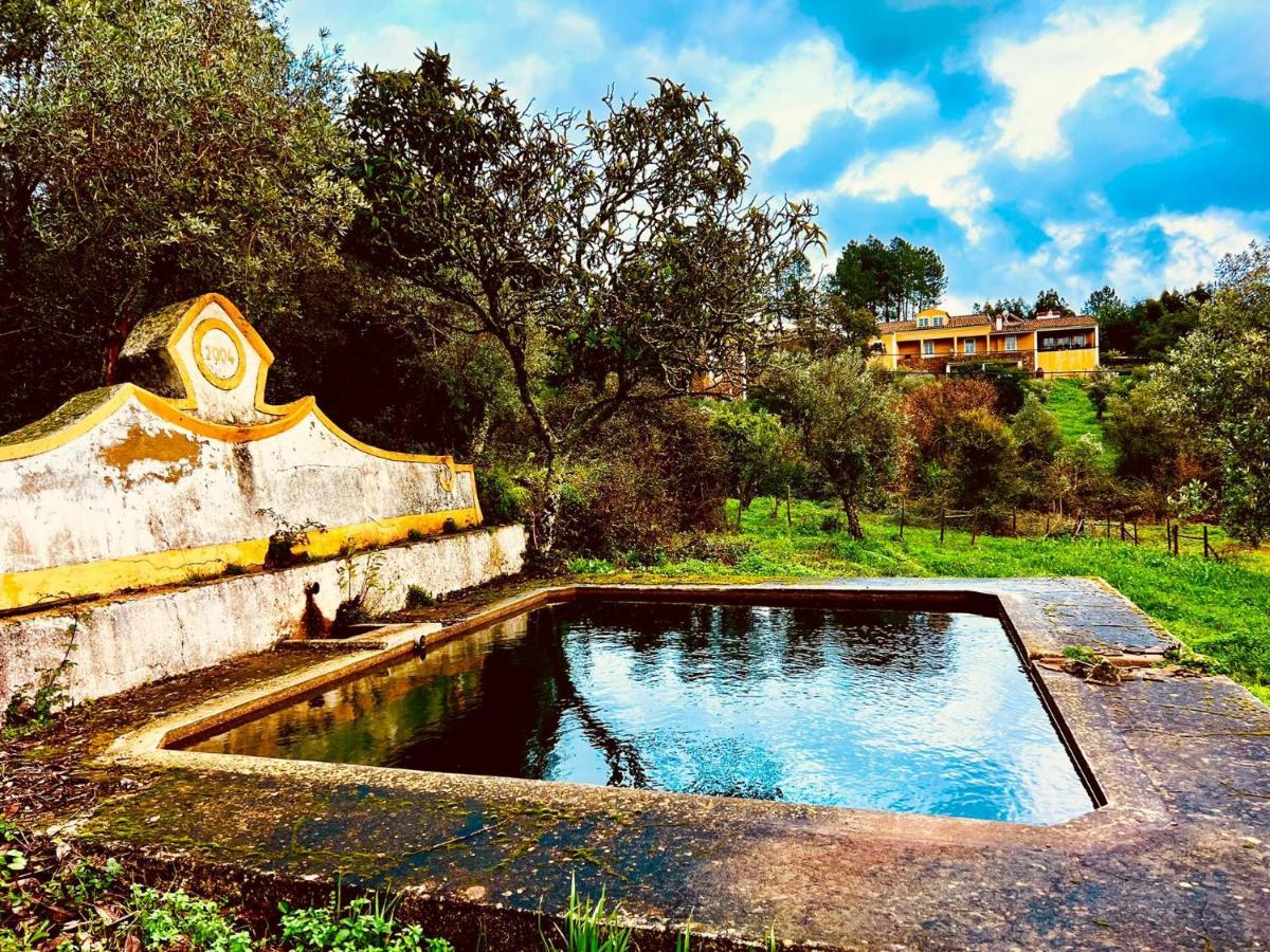 Villa Quinta Castanheiro Da Penha - Alegrete - Portalegre - Alentejo Exterior foto
